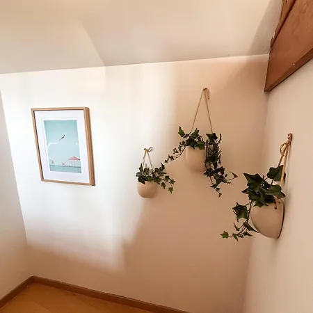 La Maison Du Coin - Parking Gratuit - Centre - Commerces A Proximite * オベルネ